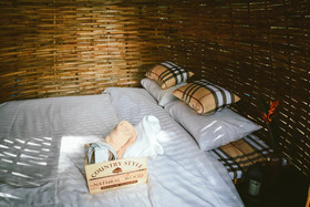 Elephant Jungle Sanctuary