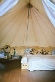 Elephant Jungle Sanctuary