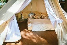 Elephant Jungle Sanctuary