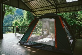 Elephant Jungle Sanctuary