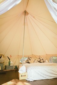 Elephant Jungle Sanctuary