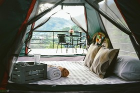 Elephant Jungle Sanctuary