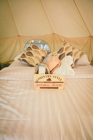 Elephant Jungle Sanctuary