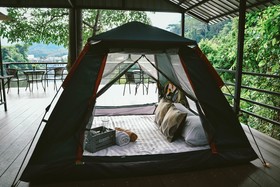 Elephant Jungle Sanctuary