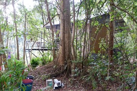 Elephant Jungle Sanctuary