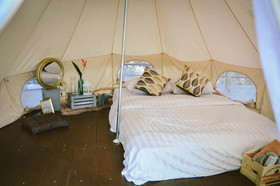 Elephant Jungle Sanctuary