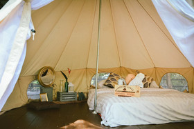 Elephant Jungle Sanctuary