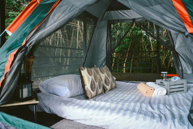 Elephant Jungle Sanctuary