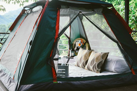 Elephant Jungle Sanctuary