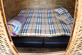 Elephant Jungle Sanctuary