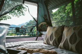 Elephant Jungle Sanctuary