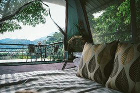 Elephant Jungle Sanctuary