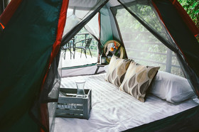 Elephant Jungle Sanctuary