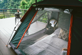 Elephant Jungle Sanctuary