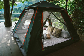 Elephant Jungle Sanctuary