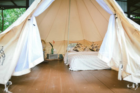 Elephant Jungle Sanctuary