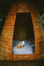 Elephant Jungle Sanctuary