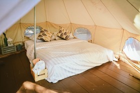 Elephant Jungle Sanctuary