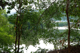 Elephant Jungle Sanctuary