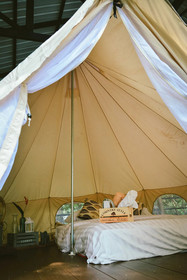 Elephant Jungle Sanctuary