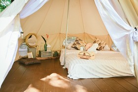 Elephant Jungle Sanctuary