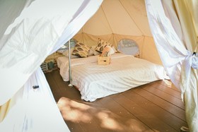 Elephant Jungle Sanctuary