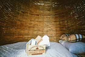 Elephant Jungle Sanctuary