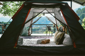 Elephant Jungle Sanctuary