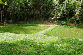 Elephant Jungle Sanctuary