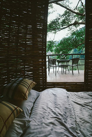 Elephant Jungle Sanctuary