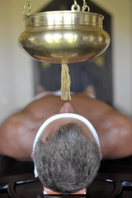 Mangosteen Ayurveda & Wellness Resort