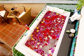 Mangosteen Ayurveda & Wellness Resort