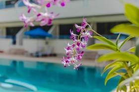 Karon Whale Resort Phuket