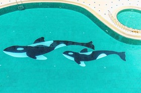 Karon Whale Resort Phuket