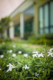 Moonlight Cottage Resort