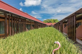 Naina Resort & Spa