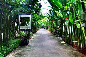 Nai Yang Beach Resort