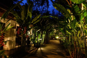 Nai Yang Beach Resort
