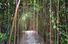 Phuket Botanic Resort