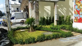 Phuket chinoinn Hotel