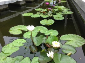 Rawai Boutique Resort