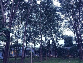 Saiyuan Garden Resort