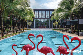 Saturdays Residence By Brown Starling