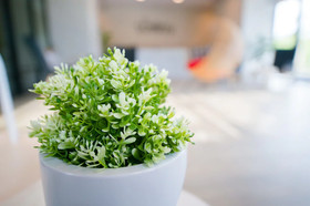 The Gallery Hotel Naiharn