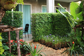 The Malika Hotel