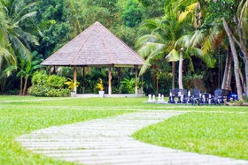 The Mangrove by Blu Monkey