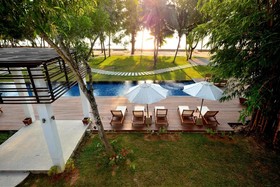 The Mangrove by Blu Monkey
