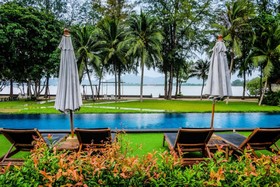 The Mangrove by Blu Monkey