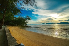 The Mangrove by Blu Monkey