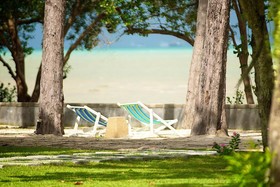 The Mangrove by Blu Monkey